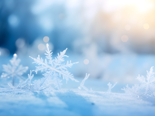 Macro snowflake covered with frost in the cold season under the bright sun, blurred background. Transparent leaves of the skeleton.