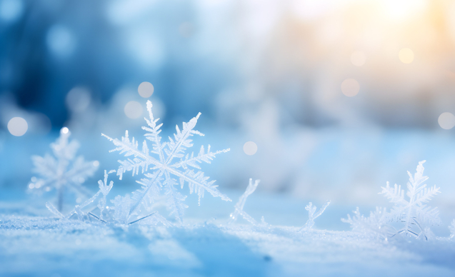 Macro snowflake covered with frost in the cold season under the bright sun, blurred background. Transparent leaves of the skeleton.